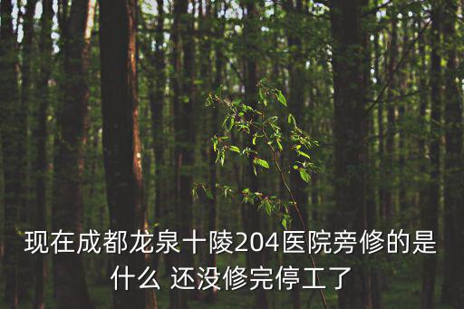 現在成都龍泉十陵204醫院旁修的是什么 還沒修完停工了