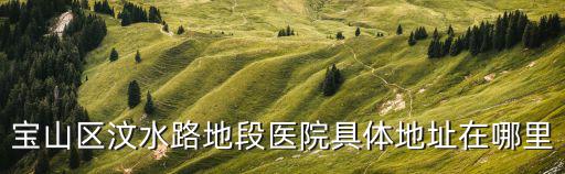 寶山區汶水路地段醫院具體地址在哪里