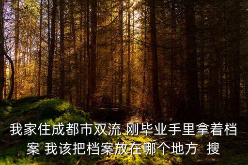 我家住成都市雙流 剛畢業(yè)手里拿著檔案 我該把檔案放在哪個(gè)地方  搜