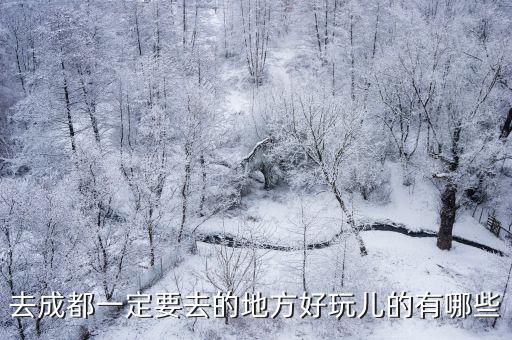 去成都一定要去的地方好玩兒的有哪些