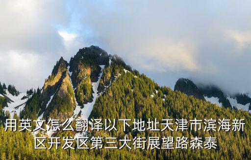 用英文怎么翻譯以下地址天津市濱海新區(qū)開發(fā)區(qū)第三大街展望路森泰