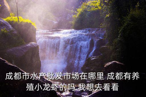 成都市水產批發市場在哪里 成都有養殖小龍蝦的嗎 我想去看看