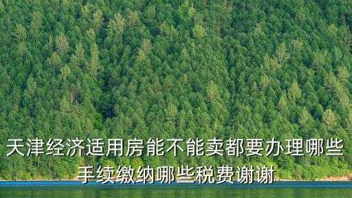 天津經(jīng)濟適用房能不能賣都要辦理哪些手續(xù)繳納哪些稅費謝謝