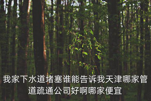 天津市管道疏通清淤本地防水，天津哪里有疏通管道深層清潔