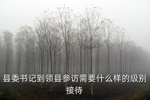 縣委書記到領縣參訪需要什么樣的級別接待