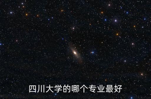 四川大學的哪個專業最好