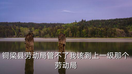 重慶市銅梁縣勞動局電話是多少，重慶銅梁勞動保障幾點上班