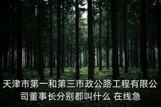 天津市第一和第三市政公路工程有限公司董事長分別都叫什么 在線急