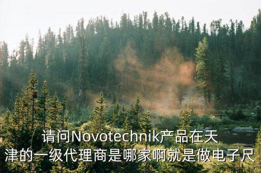 請問Novotechnik產(chǎn)品在天津的一級代理商是哪家啊就是做電子尺
