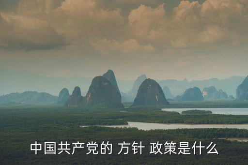 中國共產(chǎn)黨的 方針 政策是什么