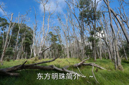  東方明珠簡介～～