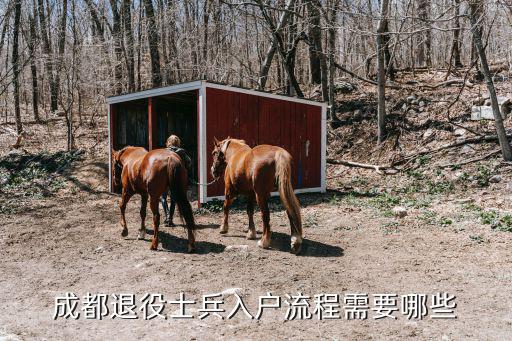 成都退役士兵入戶流程需要哪些