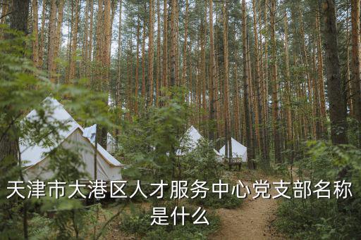 天津市大港區(qū)人才服務(wù)中心黨支部名稱是什么