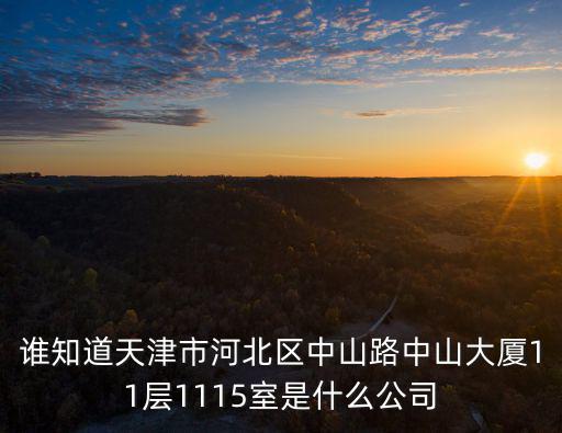 誰知道天津市河北區中山路中山大廈11層1115室是什么公司