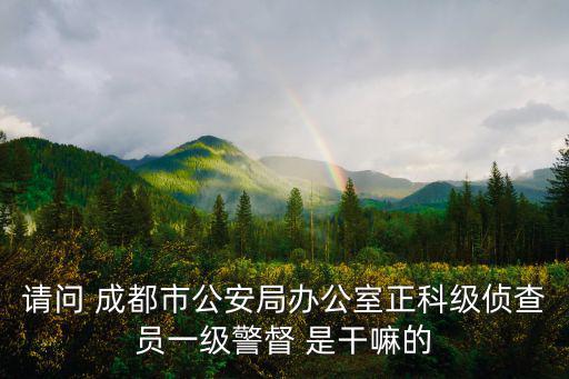 請問 成都市公安局辦公室正科級偵查員一級警督 是干嘛的