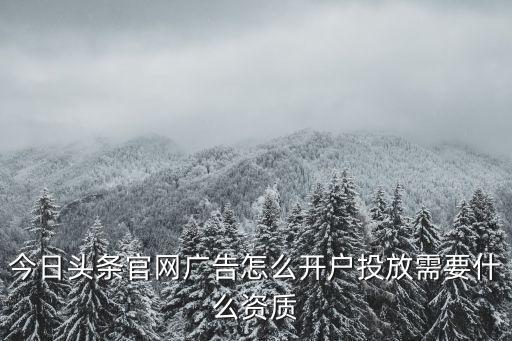 今日頭條官網廣告怎么開戶投放需要什么資質