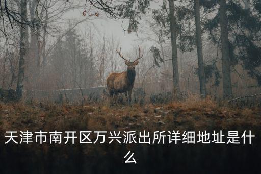 天津市南開區萬興派出所詳細地址是什么