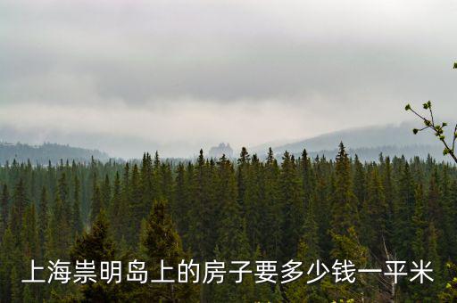 上海祟明島上的房子要多少錢一平米