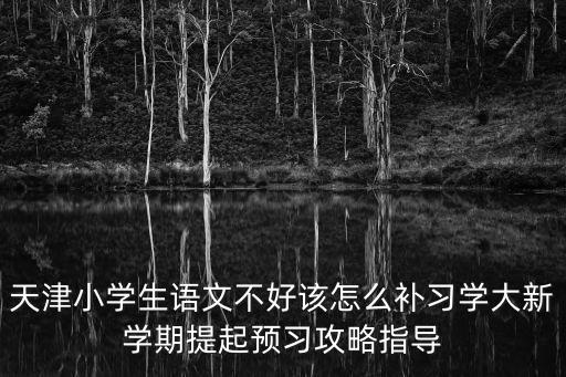 天津小學(xué)生語文不好該怎么補(bǔ)習(xí)學(xué)大新學(xué)期提起預(yù)習(xí)攻略指導(dǎo)