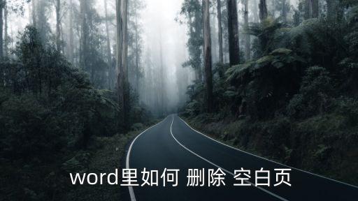  word里如何 刪除 空白頁