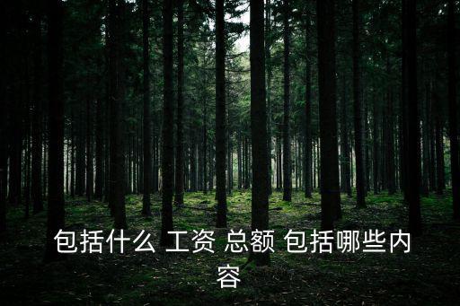  包括什么 工資 總額 包括哪些內容