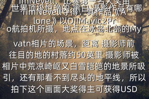 世界頂級驚艷的 黑白 攝影作品有哪些$1、《Alone》─ 攝影：TimNevell，比賽第一名大獎由TimNevell奪得，其作品《Alone》以DJIMavic2Pro航拍機所攝，地點在冰島北部的Myvatn相片的場景，距離 攝影師前往目的地的村落約50英里 攝影師被相片中荒涼崎嶇又白雪皚皚的地景所吸引，還有那看不到盡頭的地平線，所以拍下這個畫面大獎得主可獲得USD