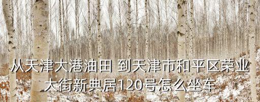 從天津大港油田 到天津市和平區(qū)榮業(yè)大街新典居120號怎么坐車