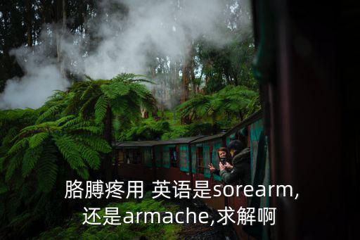 胳膊用英語怎么說