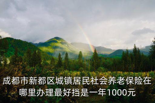 成都市新都區城鎮居民社會養老保險在哪里辦理最好擋是一年1000元