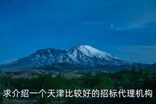 天津市武清區工程招標代理有限公司，求介紹一個天津比較好的招標代理機構
