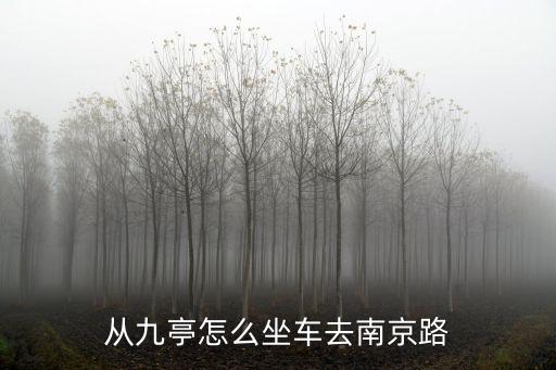 重慶市九亭，九亭鎮晚上九點左右還有公交車嗎