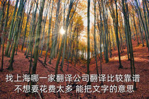 找上海哪一家翻譯公司翻譯比較靠譜 不想要花費(fèi)太多 能把文字的意思