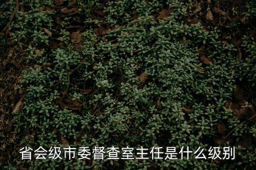 省會級市委督查室主任是什么級別