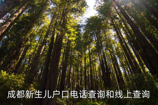 成都新生兒戶口電話查詢和線上查詢