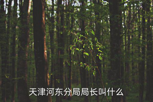 天津河?xùn)|分局局長叫什么
