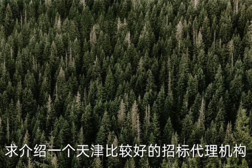 求介紹一個天津比較好的招標代理機構