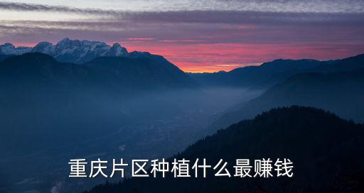 重慶片區種植什么最賺錢