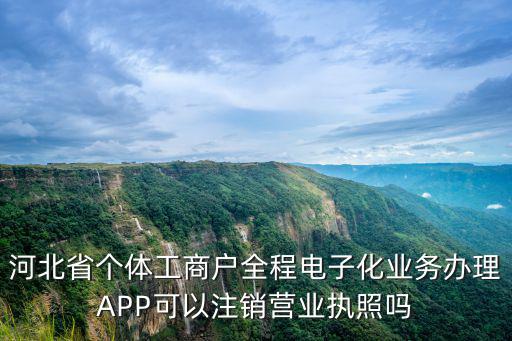河北省個體工商戶全程電子化業務辦理APP可以注銷營業執照嗎