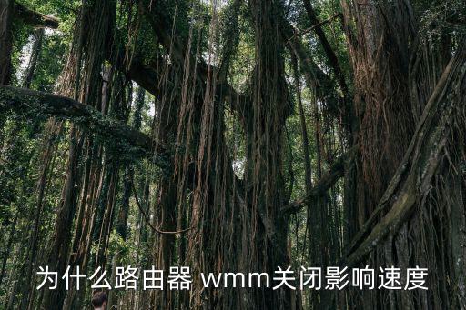 wmm,什么是qos無線局域網wmm?