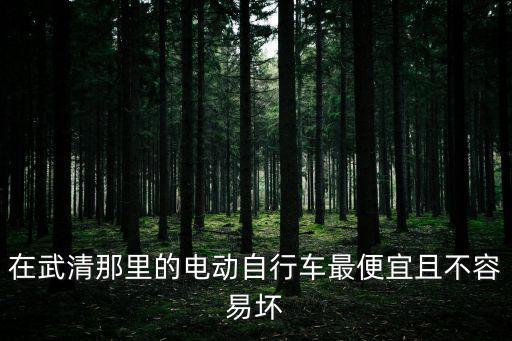 在武清那里的電動自行車最便宜且不容易壞