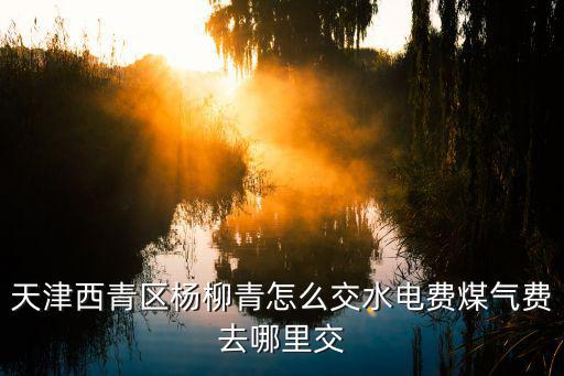 天津西青區楊柳青怎么交水電費煤氣費去哪里交
