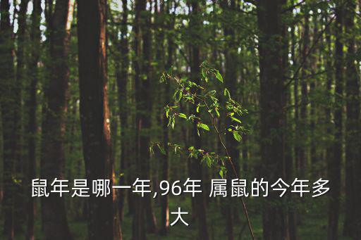 屬鼠今年多少歲,今年是2020年牛年鼠年出生人