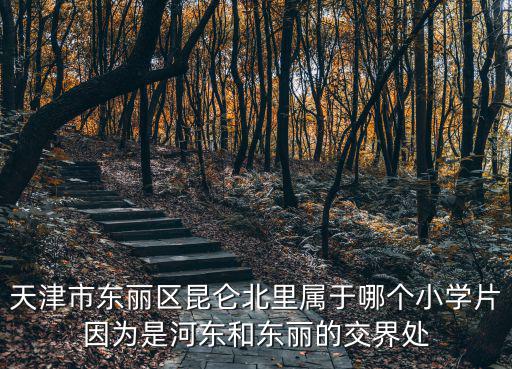 天津市陳塘莊昆侖里，天津市的東麗區昆侖里拆的規劃嗎