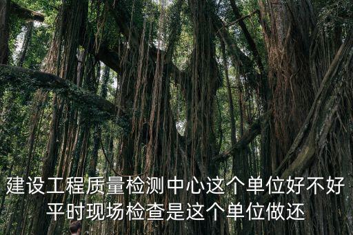 建設工程質量檢測中心這個單位好不好平時現場檢查是這個單位做還