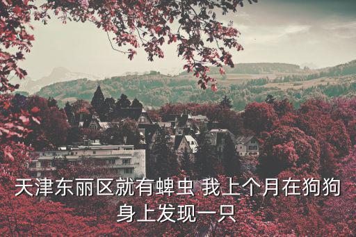 天津東麗區就有蜱蟲 我上個月在狗狗身上發現一只