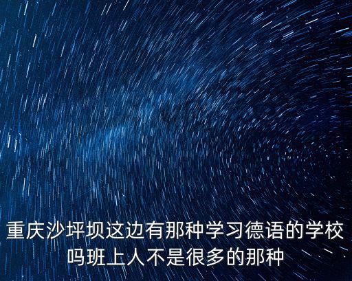 重慶沙坪壩這邊有那種學習德語的學校嗎班上人不是很多的那種