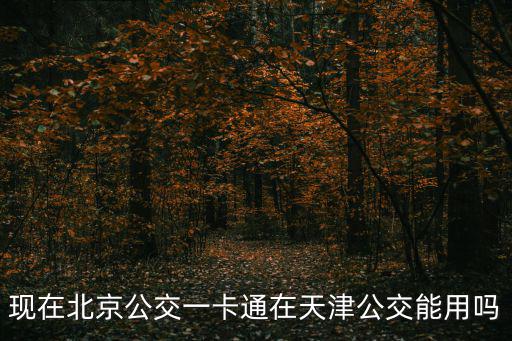 北京市政一卡通能在天津市用嗎，北京的市政交通一卡通到天津能用么