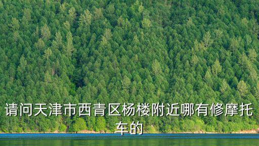 請問天津市西青區楊樓附近哪有修摩托車的