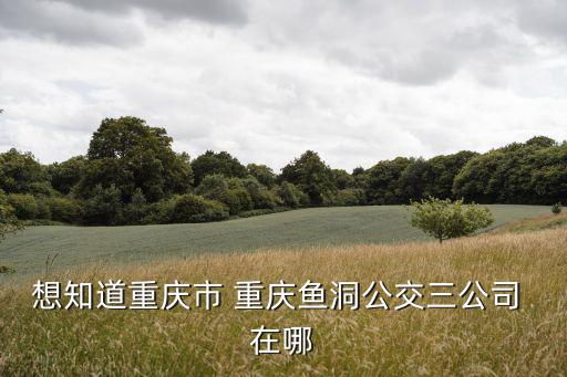 想知道重慶市 重慶魚洞公交三公司 在哪