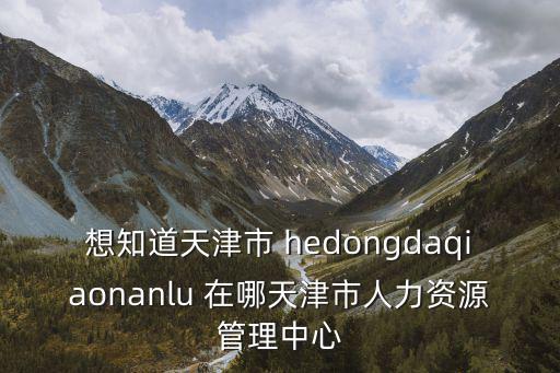 想知道天津市 hedongdaqiaonanlu 在哪天津市人力資源管理中心